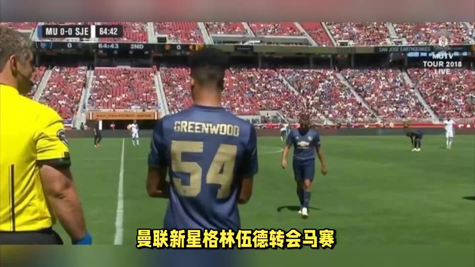 尼亚