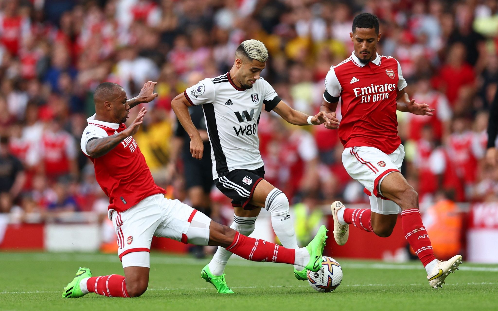 很多年轻男 很多年轻男